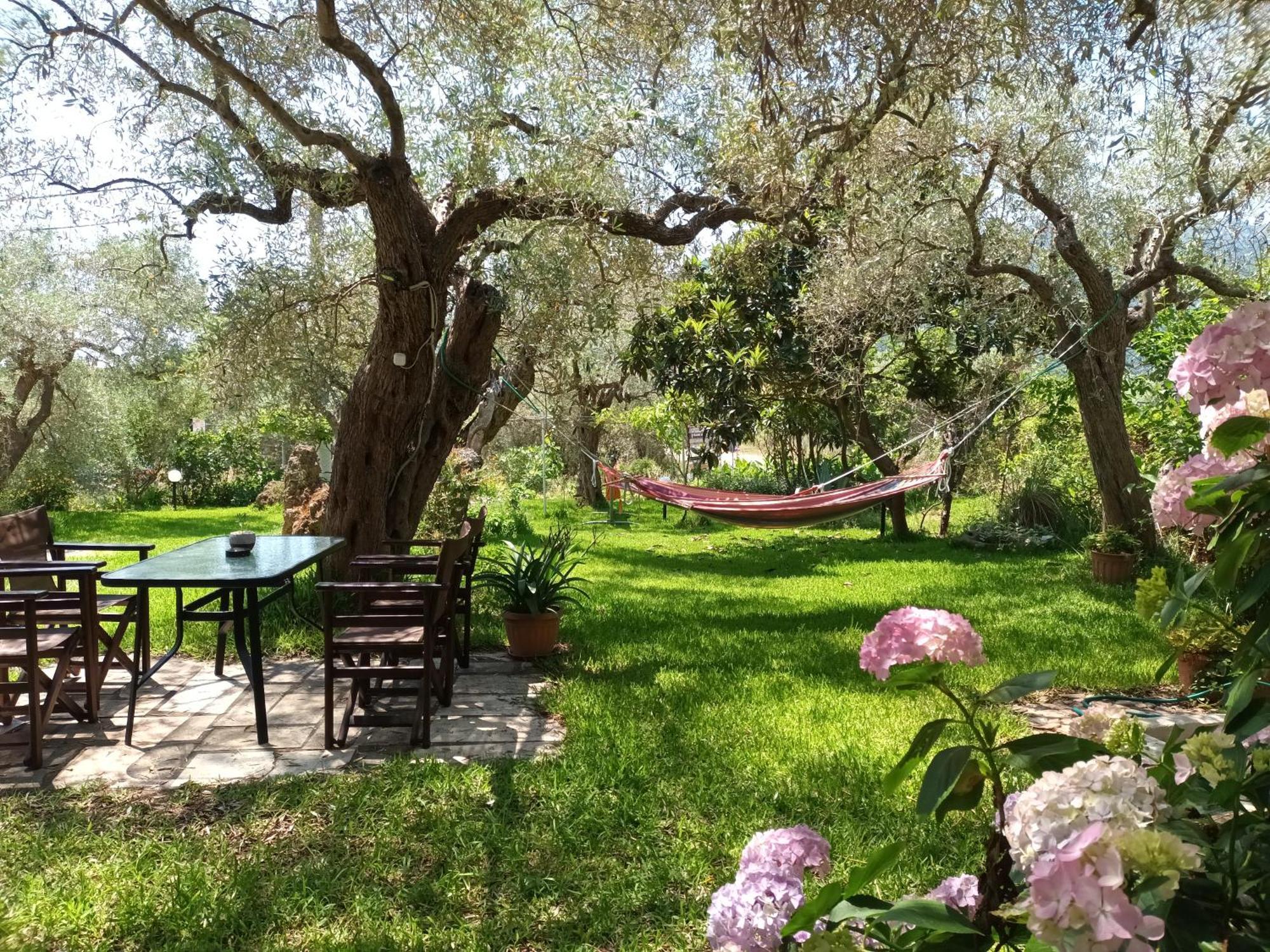 Hotel George Chrisi Ammoudia Zimmer foto